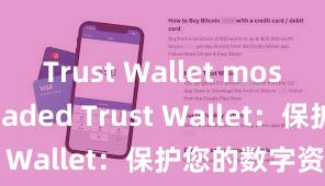 Trust Wallet most downloaded Trust Wallet：保护您的数字资产